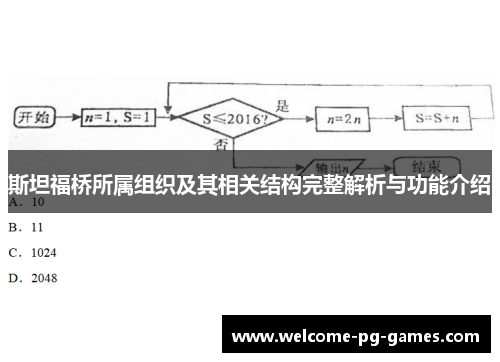 斯坦福桥所属组织及其相关结构完整解析与功能介绍