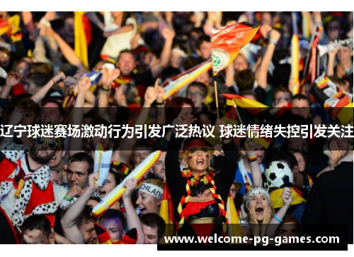 辽宁球迷赛场激动行为引发广泛热议 球迷情绪失控引发关注 辽宁球迷赛场激动行为引发广泛热议 球迷情绪失控引发关注