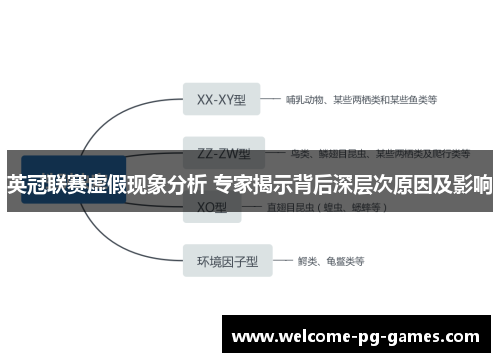 英冠联赛虚假现象分析 专家揭示背后深层次原因及影响 英冠联赛虚假现象分析 专家揭示背后深层次原因及影响