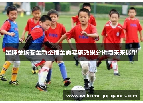 足球赛场安全新举措全面实施效果分析与未来展望